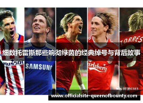 细数托雷斯那些响彻绿茵的经典绰号与背后故事 细数托雷斯那些响彻绿茵的经典绰号与背后故事