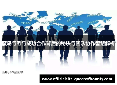 魔鸟与老马成功合作背后的秘诀与团队协作智慧解析